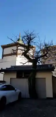 真源寺（入谷鬼子母神）のその他建物