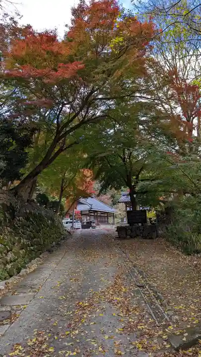涌泉寺(京都府)