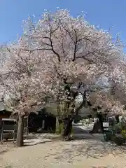 東雲寺(東京都)