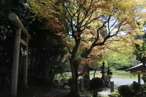 鹿島大神宮の鳥居