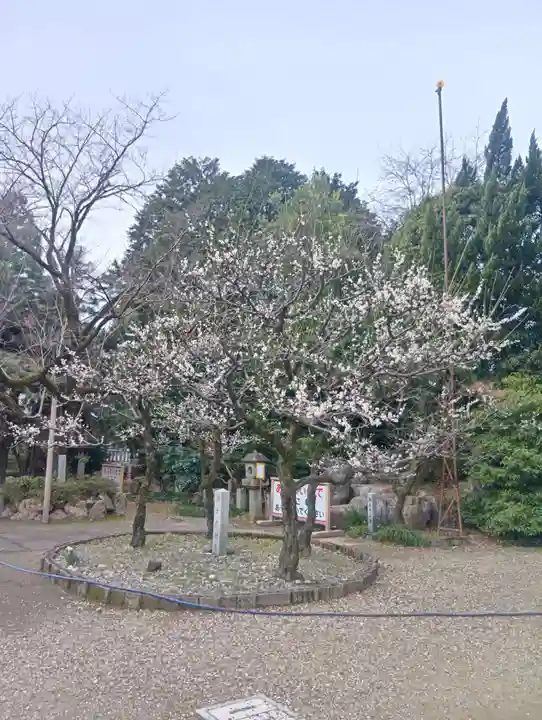 加納天満宮(岐阜県)