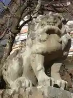 宇治神社の狛犬