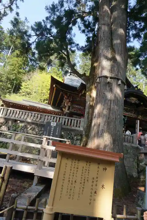 三峯神社(埼玉県)