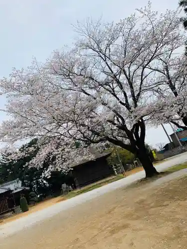 伏木香取神社の景色