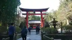 北口本宮冨士浅間神社の鳥居