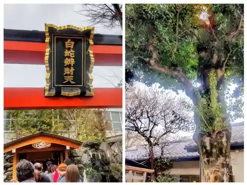 蛇窪神社(東京都)