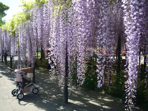 玉敷神社の庭園