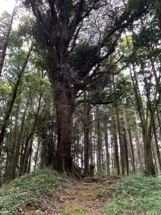 側鷹稲荷大明神(千葉県)