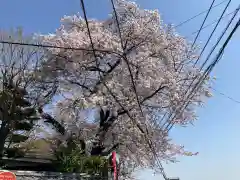 定方寺(神奈川県)