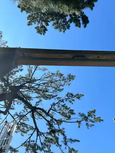 寒川神社(神奈川県)