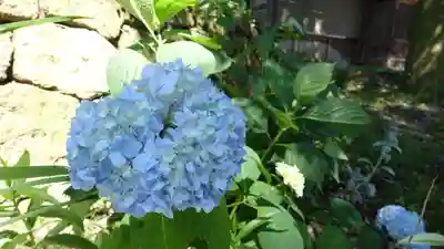 長谷神社　下社の自然