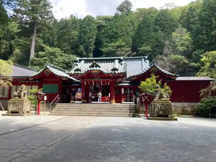 箱根神社の本殿・本堂