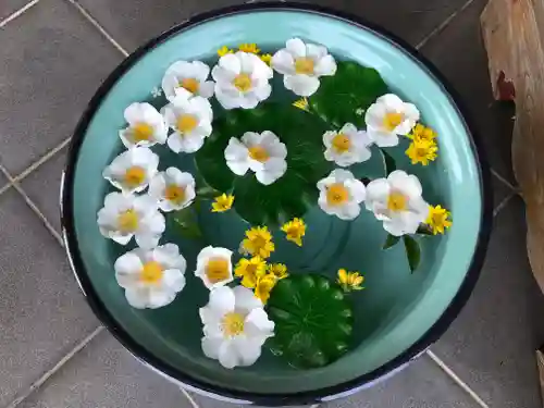 法長寺の手水舎