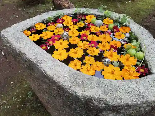 常陸第三宮　吉田神社の手水舎