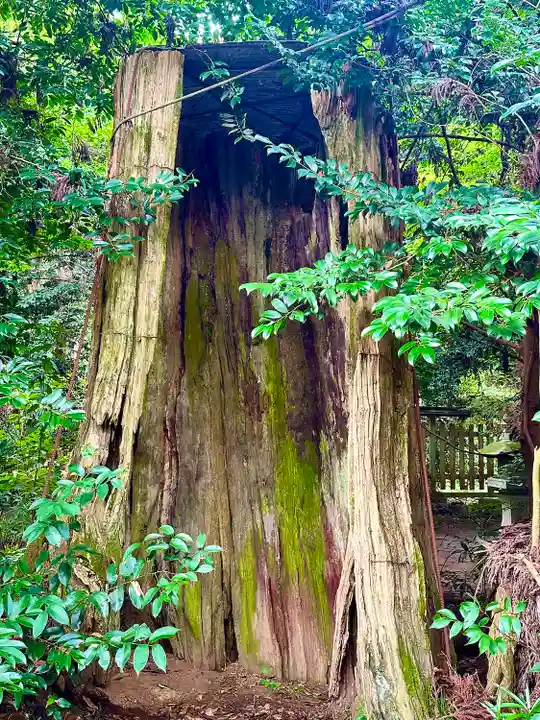 香取神宮(千葉県)