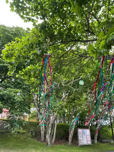 釧路一之宮 厳島神社のお祭り