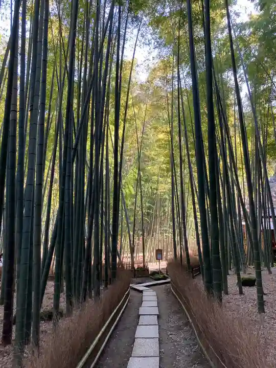 報国寺のその他建物