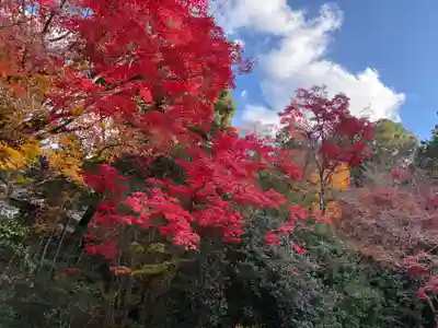 詩仙堂（丈山寺）(京都府)