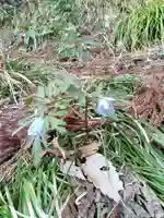 白狐山光星寺(山形県)