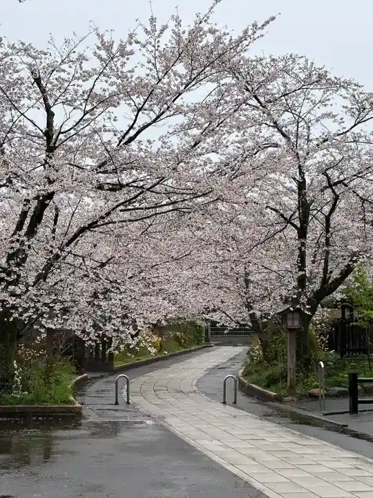 高麗神社(埼玉県)