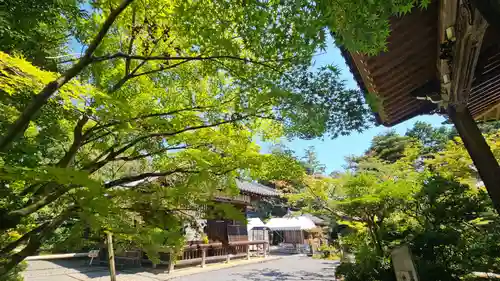 赤山禅院(京都府)
