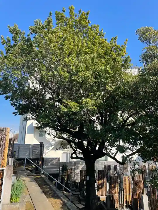 仙寿院の{uncategorized: "未分類", other: "その他", undefined: "問題あり", building: "その他建物", grave: "お墓", sacred_gate: "鳥居", guardian: "狛犬", statue: "像", buddha: "仏像", history: "歴史", nature: "自然", garden: "庭園", animal: "動物", pagoda: "塔", temizu: "手水舎", mountain_gate: "山門・神門", sanctuary: "本殿・本堂", subordinate: "末社・摂社", art: "芸術", scenery: "景色", jizo: "地蔵", ema: "絵馬", goshuin: "御朱印", omikuji: "おみくじ", items: "授与品その他", amulet: "お守り", goshuincho: "御朱印帳", eats: "食事", festival: "お祭り", votive_dance: "神楽", shichigosan: "七五三参", wedding: "結婚式", experience: "体験その他", initially: "初詣", around: "周辺", anti_infection: "感染症対策"}