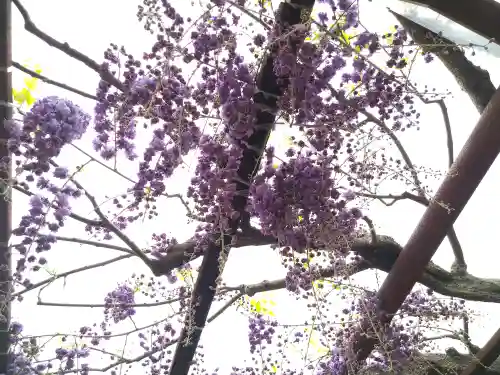 和氣神社（和気神社）の自然