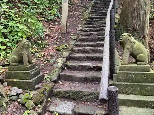 鳥越観音の狛犬