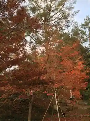 高台寺（高台寿聖禅寺・高臺寺）(京都府)