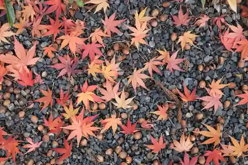 豊景神社の自然