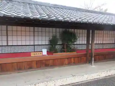 大覚寺(京都府)