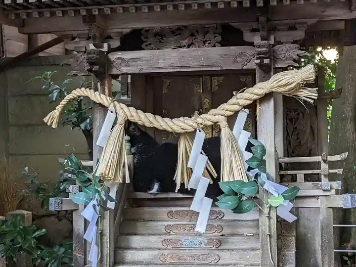 八幡社(柏井町)の動物