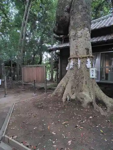 氷川女體神社(埼玉県)