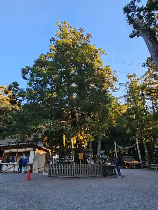 大神神社(奈良県)