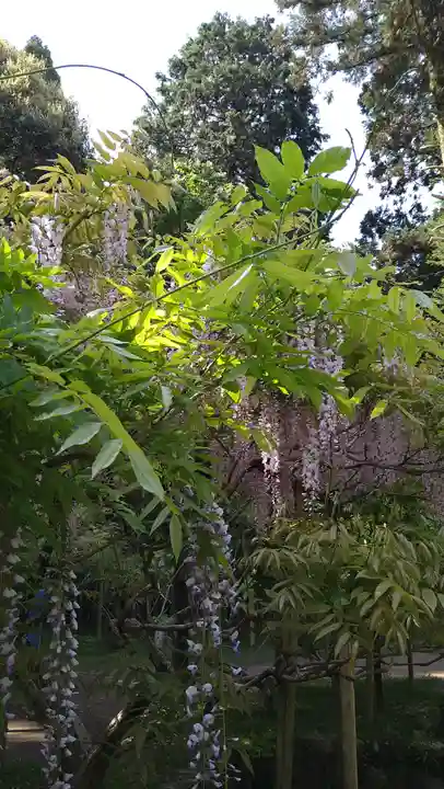 歌泉堂(春日大社神苑萬葉植物園内鎮座)(奈良県)