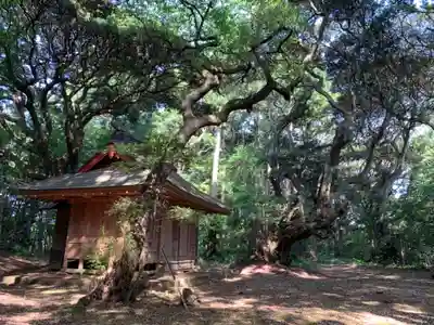 天神社(千葉県)