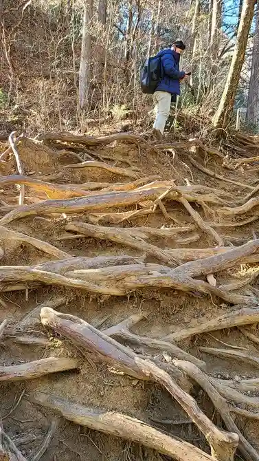 武蔵御嶽神社の自然