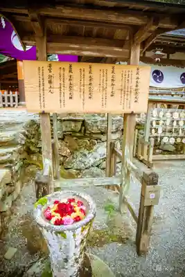 丹生都比売神社(和歌山県)