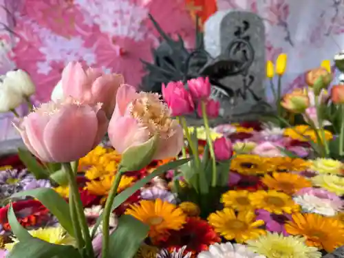 札幌諏訪神社の手水舎