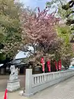 諏訪大神社 の{uncategorized: "未分類", other: "その他", undefined: "問題あり", building: "その他建物", grave: "お墓", sacred_gate: "鳥居", guardian: "狛犬", statue: "像", buddha: "仏像", history: "歴史", nature: "自然", garden: "庭園", animal: "動物", pagoda: "塔", temizu: "手水舎", mountain_gate: "山門・神門", sanctuary: "本殿・本堂", subordinate: "末社・摂社", art: "芸術", scenery: "景色", jizo: "地蔵", ema: "絵馬", goshuin: "御朱印", omikuji: "おみくじ", items: "授与品その他", amulet: "お守り", goshuincho: "御朱印帳", eats: "食事", festival: "お祭り", votive_dance: "神楽", shichigosan: "七五三参", wedding: "結婚式", experience: "体験その他", initially: "初詣", around: "周辺", anti_infection: "感染症対策"}