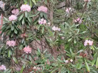 日光二荒山神社中宮祠の自然