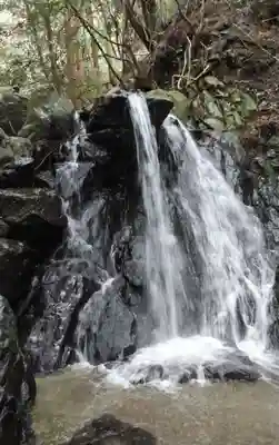 丸尾観音堂の自然