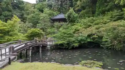 知恩院(京都府)