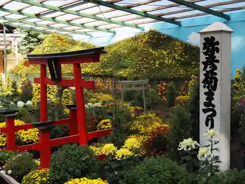 彌彦神社の芸術