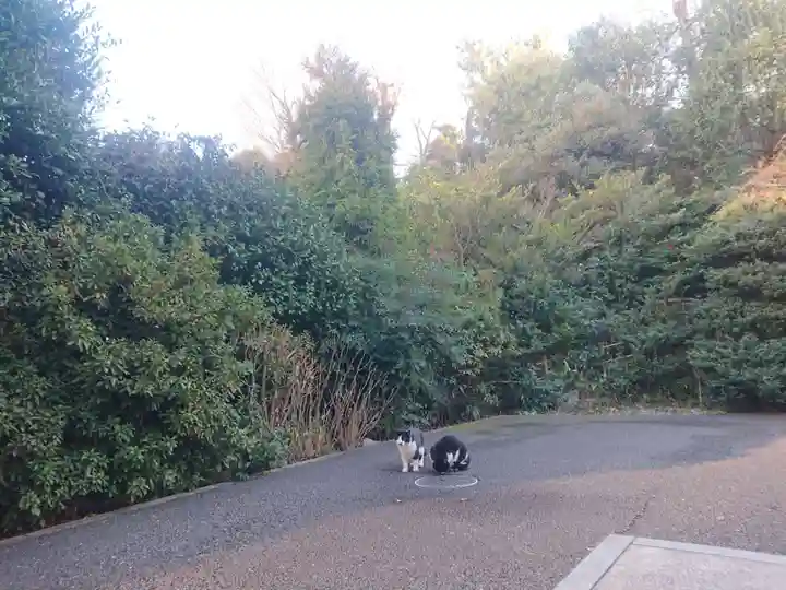 白金氷川神社のその他建物