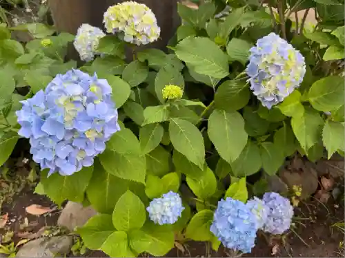 太寧寺(神奈川県)