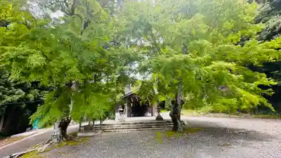 春日神社(京都府)