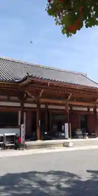 東寺(教王護国寺)の本殿・本堂