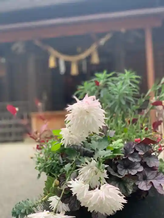 星川杉山神社の自然