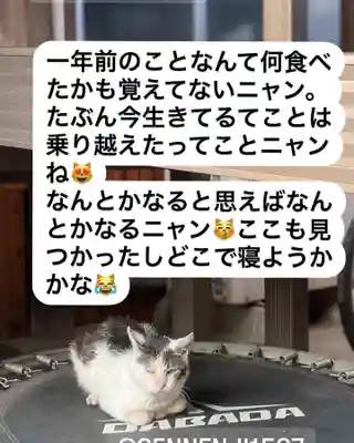 専念寺(大阪府)